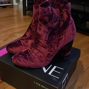 Lane Bryant Velvet Booties